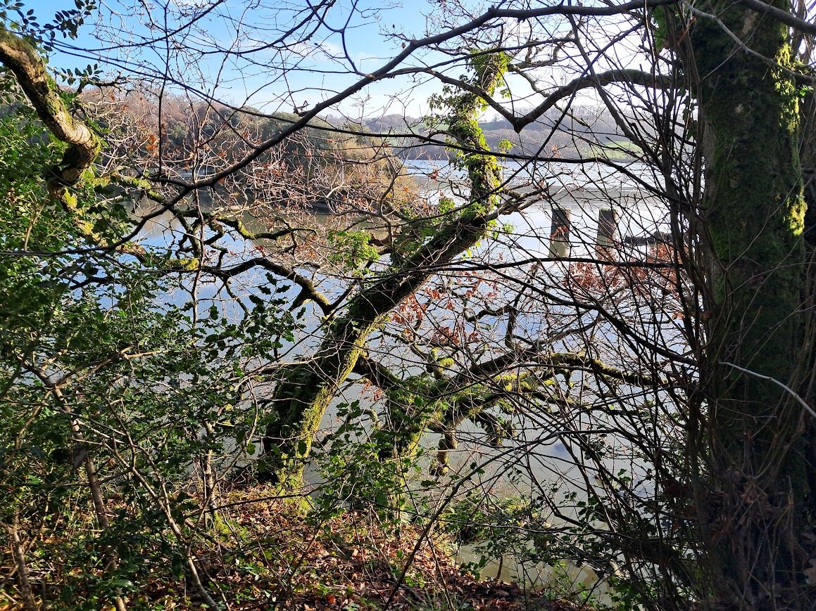 View across the Yealm estuary